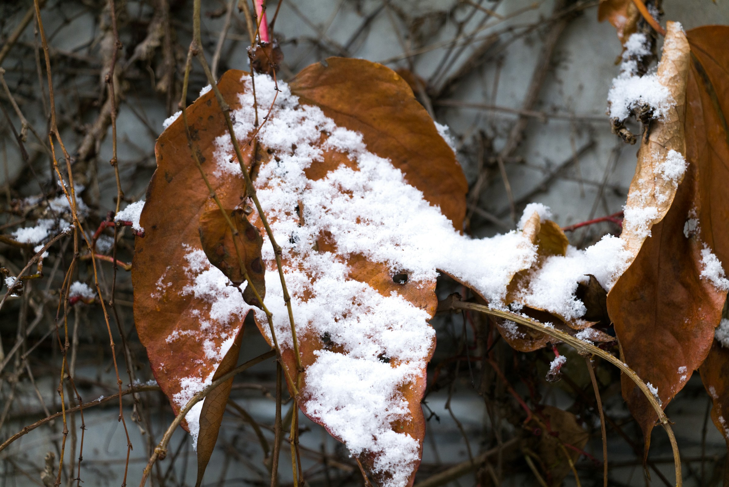 Mindful January: How To have An Unhurried Start To Your Year”